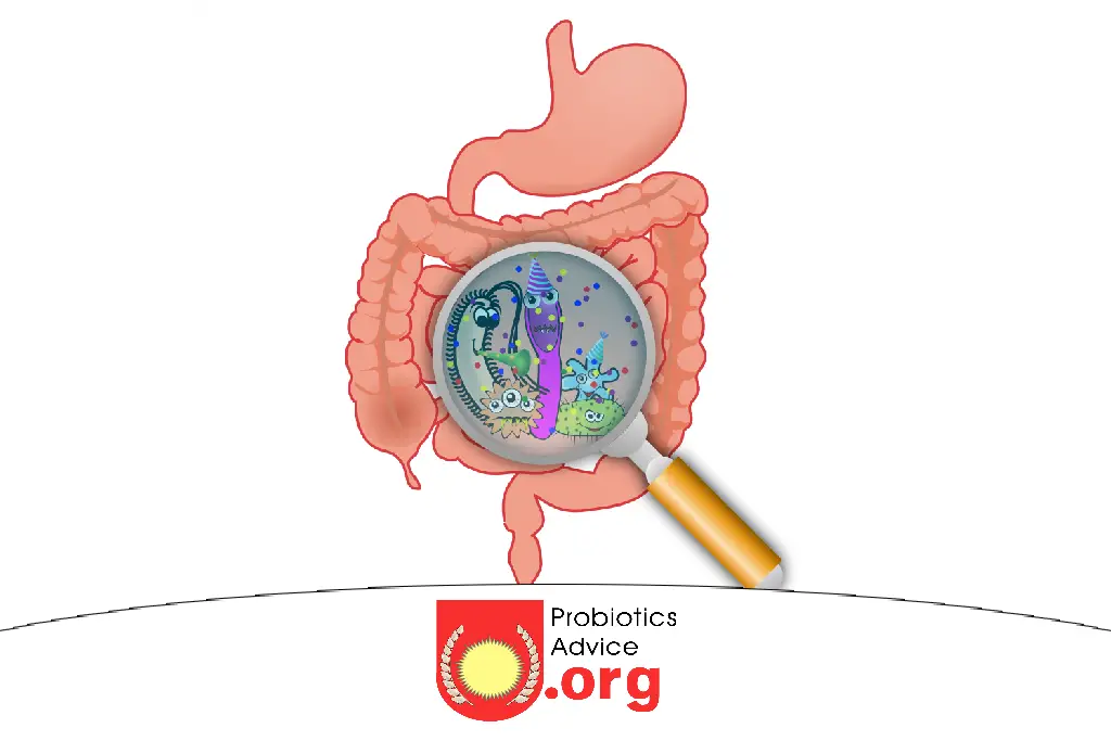 Probiotics for bacterial vaginosis